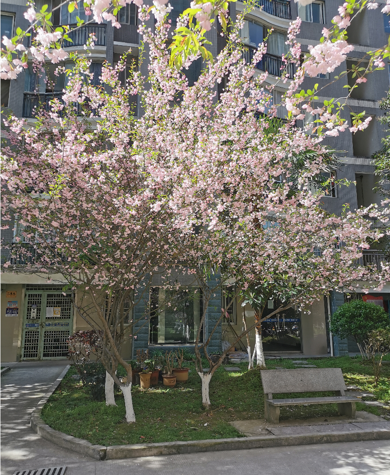 Spring-like